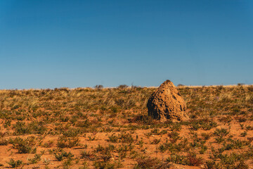 Termite Hills in western Australia