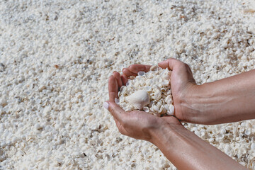 White shells on Shell Beach in Shark Bay, Western Australia