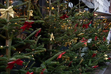 Close up background image of Christmas tree decorated with lights outdoors with fir branches