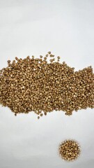 buckwheat, buckwheat groats, buckwheat on a white background, cereal, food, diet, products 