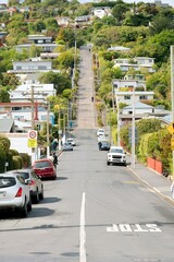 Baldwin Street, The World's Steepest Street in Dunedin, Otago, South Island, New Zealand