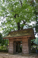 Fototapeta premium 布施神社