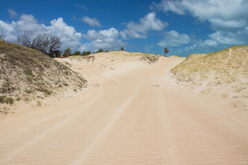 The pristine Perobas Beach in Touros, Rio Grande do Norte, Brazil, featuring clear turquoise waters, golden sand, and a peaceful tropical ambiance on a sunny day