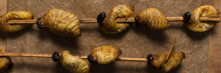 Overhead view of roasted sago worms on a wood chopping board, top view of palm worms on wood background, roasted grub worms on a brown countertop