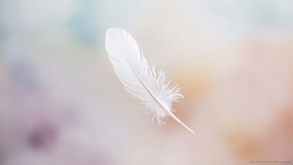 Single White Feather Against Soft Pastel Background