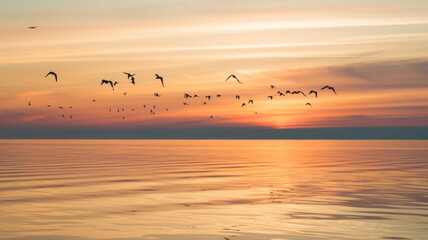 A serene sunset over calm waters, with a flock of birds gracefully flying across the sky, creating a tranquil and picturesque scene.