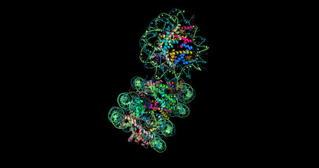 Human telomere, cancer and aging molecule, tetranucleosome 3D structure, 4K