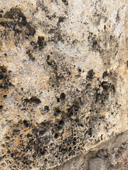 stone wall texture