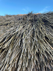 thatched roof and sky