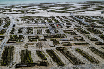 Oyster Farm at Cancale in Brittany, France at Low Tide