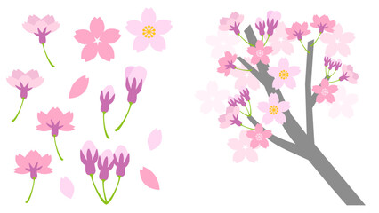 Naklejka premium シンプルな桜の花のイラスト素材セット