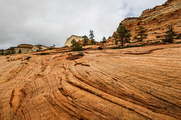 Beautiful textured sandstone formations.