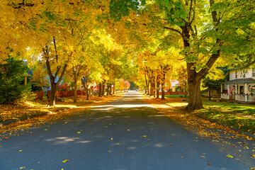 A shady tree lined residential street in the historic Sanders Beach district near the lake and downtown in Coeur d'Alene, Idaho, with fall colors on the trees at Autumn.