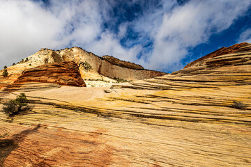 Beautiful sandstone landscape at Zion.