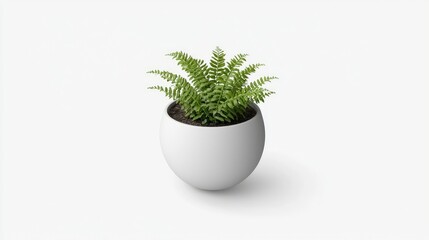 A lush green fern in a modern white pot, enhancing indoor decor and ambiance.