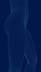 Beautiful Naked Woman Torso Sculpture Vector. Female Body Poses. 3d wireframe vector.