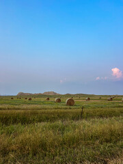Obraz premium landscape with field and sky