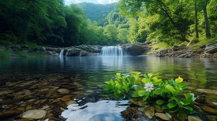 Obraz premium Scenic Forest Waterfall View