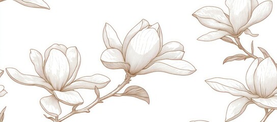Elegant sepia magnolia blossoms and branches on white background.