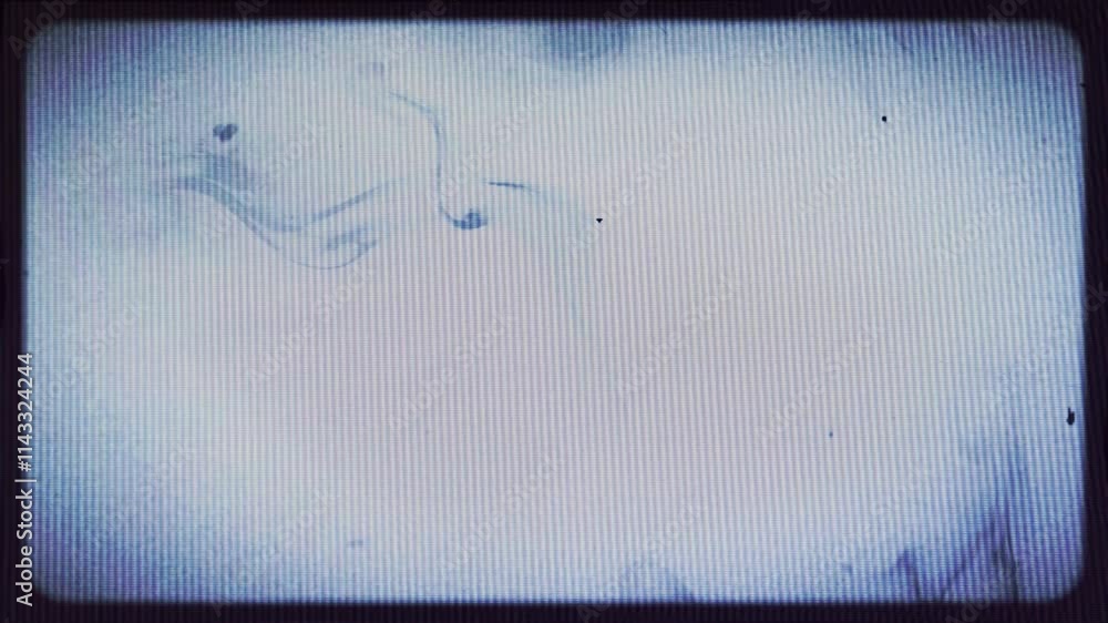 Poster old style film frame with fluids animation and dust and grain particle effects