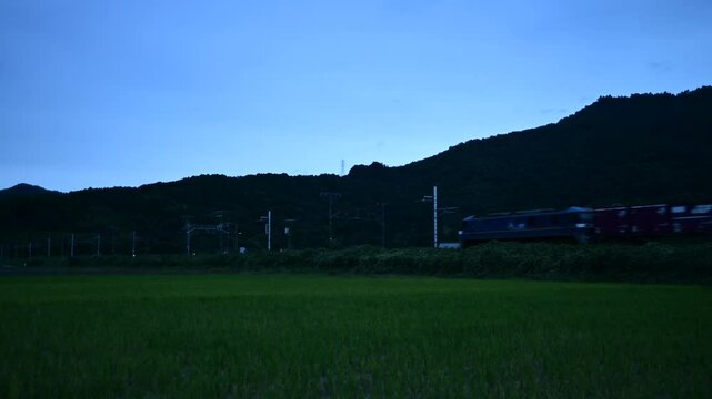 黄昏の安土を走るEF210牽引の貨物列車 （東海道本線 安土 - 能登川, 2024年10月）