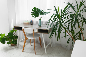 Modern interior of living room with tropical monstera leaves in vase on table