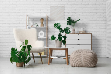 Modern interior of living room with tropical monstera leaves in pot on table and stylish armchair