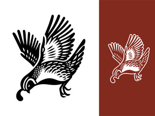 Gambel Quail bird hand drawn vector illustration