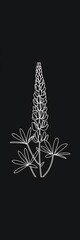 Vector hand drawn flat design simple flower outline