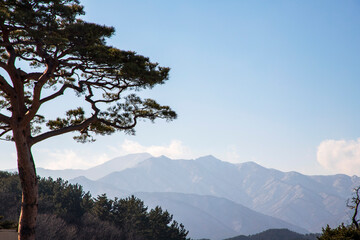 외옹치항 둘레길