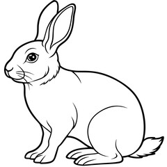 illustration of a rabbit