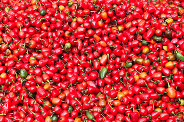 Fresh red and green peppers on sale in a market near Kathmandu's durbar square,Nepal 