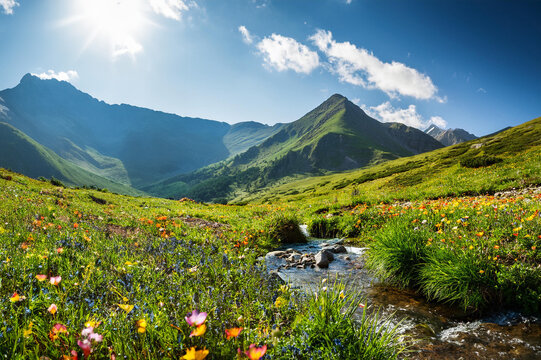 Postal horizontal en la monta&ntilde;a. Pradera en primavera con flores y peque&ntilde;o arroyo en primer plano. Sensaci&oacute;n de libertad. Imagen con desenfoque. IA generativa
