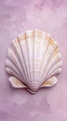 Obraz premium Single Scallop Shell on Lavender Textured Background