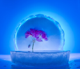 natural ice with texture for product presentation cosmetic podium background
