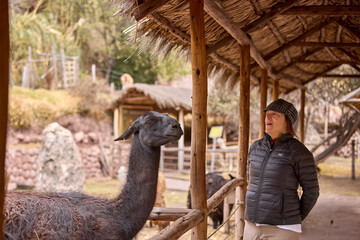 A beautiful connection between TOURIST and llama at Awanacancha, Cusco. Moments like this remind us of the harmony and charm of nature. © Beto Santillan