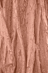 Tree bark texture brown color. Tree bark texture full frame in nature. Monochrome background. Trendy colour 2025.
