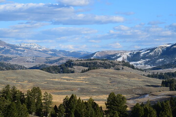 Landscape of Yellowstone National Park full vista