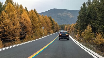Autumn colors along the road in Ulanbutu, Inner Mongolia under a cloudy sky
