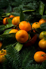 Mandarins with christmas tree branches. Christmas background.