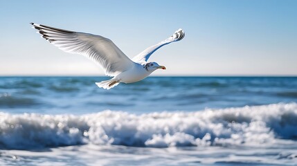 Seagull in flight over ocean waves. Freedom, nature, and wildlife concept.