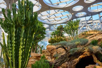 Exploring the vibrant greenhouse garden at Shanghai World Expo Culture Park, showcasing diverse...
