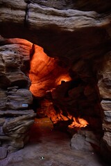 Exploring the Unique Rock Formation and Lighting of Shanghai World Expo Culture Park Greenhouse Garden Indoor