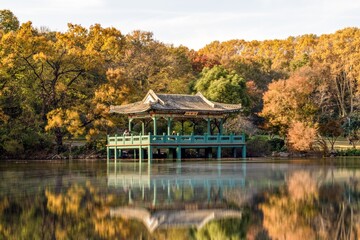 Fototapeta premium Autumn colors surrounding Liu Hui Shelter at Zhongshan Scenic Area in Nanjing, Jiangsu Province