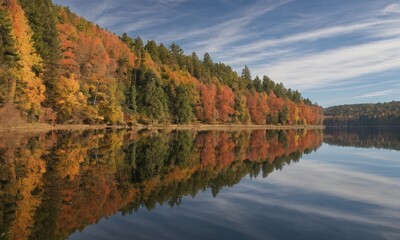 Autumnal Reflection on Calm Lake 
