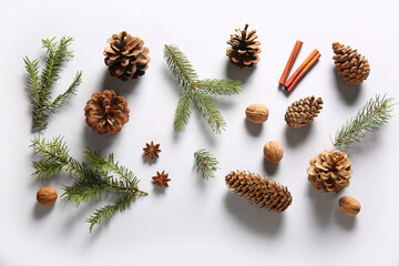 Pine cones with fir branches, walnuts, cinnamon and star anise on white background