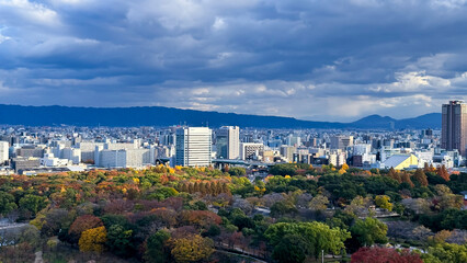 landscape with flowers