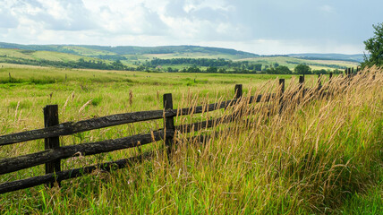 A whimsical countryside field filled with tall, golden wheat swaying gently in the breeze, framed by a rustic wooden fence and rolling hills under a bright blue sky, creating a serene landscape.