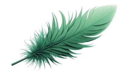 Fototapeta premium green feather isolated on white background