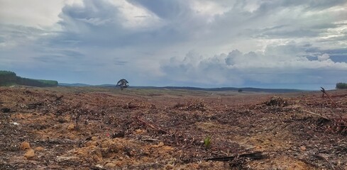 walking in the mountains